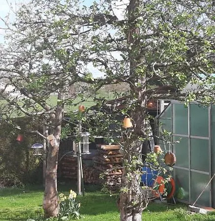 Ferienwohnung Belser Zuhause Im Urlaub